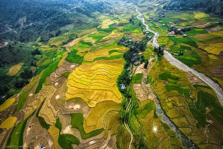 Ngắm mùa vàng Tây Bắc trong nắng thu